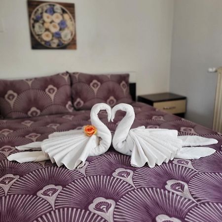 Appartement Casa Ana à Cluj-Napoca Extérieur photo