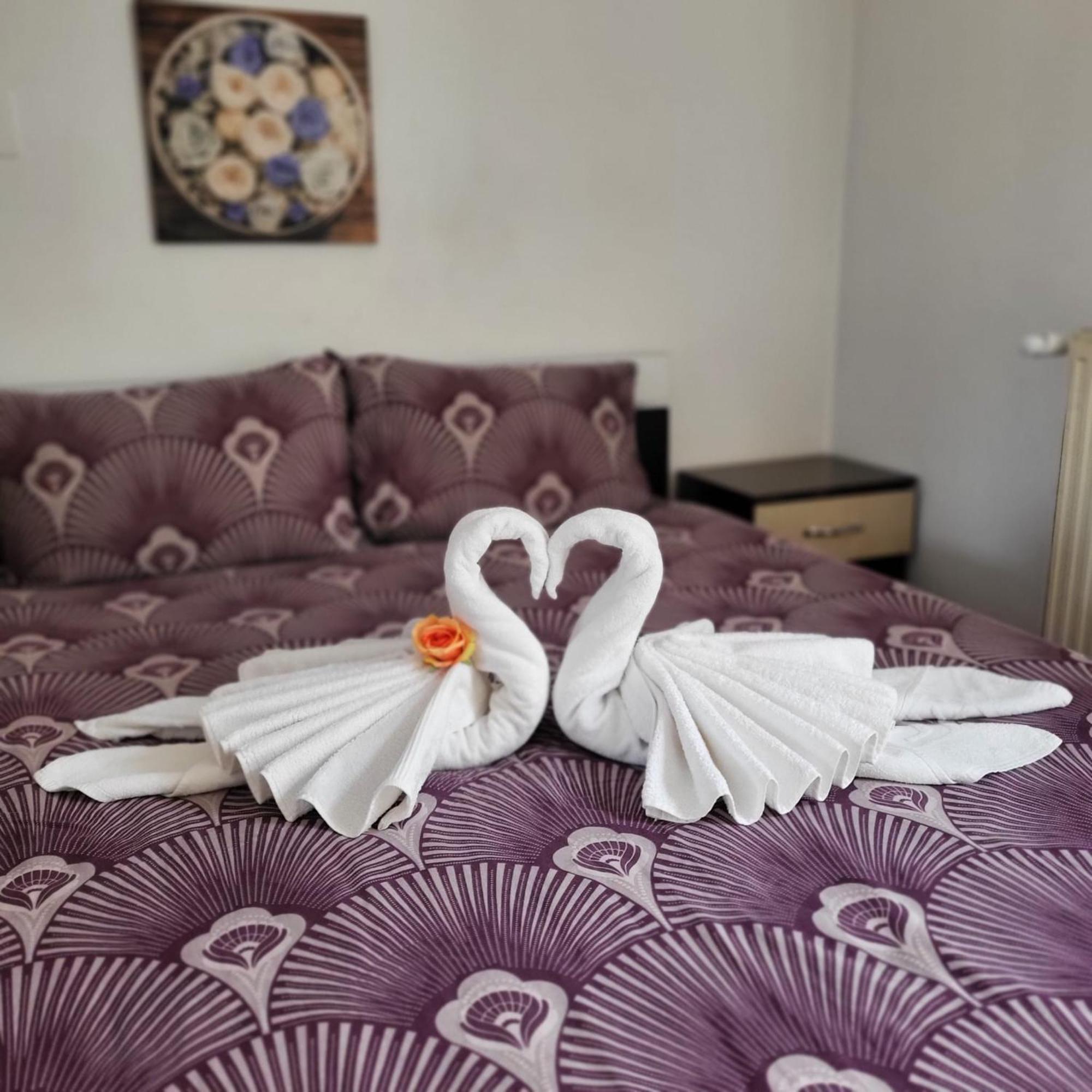 Appartement Casa Ana à Cluj-Napoca Extérieur photo